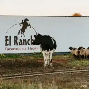 El Rancho - 141