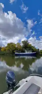 Fish Sense - 23