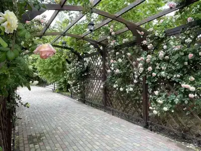 Платан Resort - 29