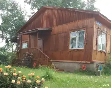 Байкальский лучик - 5