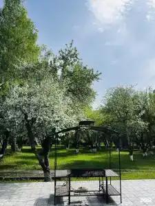 Мечтатели - 10