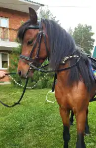 Родники - 70