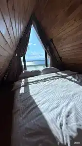 Архар - 6