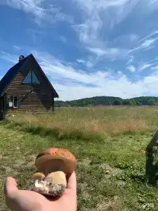 Ладога рядом - 60