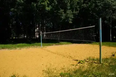 Голицыно - 66