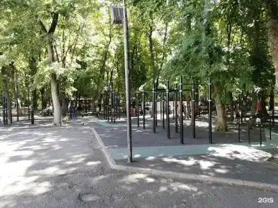 Ростовский - 113