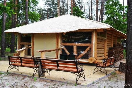 Зеленый Бор - 11