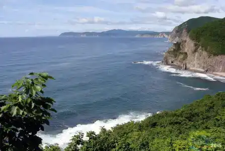 Красный кот - 67