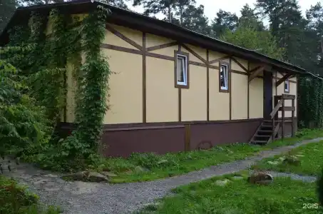 Чечек - 56
