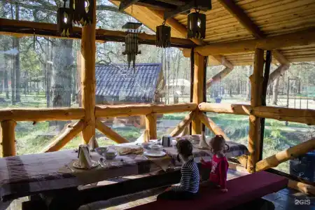 Зеленый Бор - 5