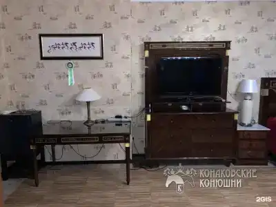 Загородный отель Konakoff в Сажино - 149