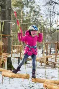 Зеленый Бор - 6