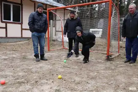 Спутник - 45