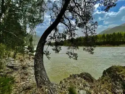108 желаний - 33