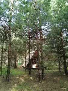 Глэмпинг Alpen Camp - 79