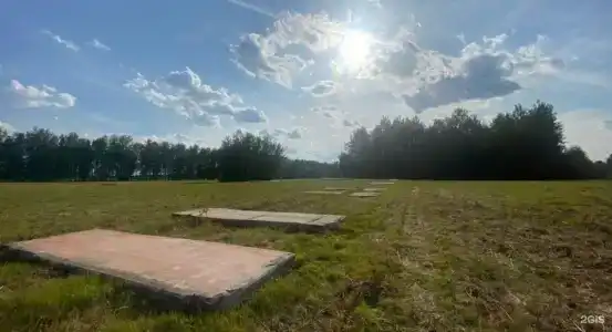Белые Аллеи - 66