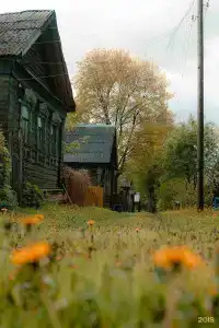 Ларди - 58
