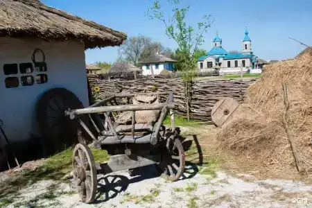 Березовый Двор - 31
