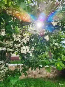 Звёздный - 20