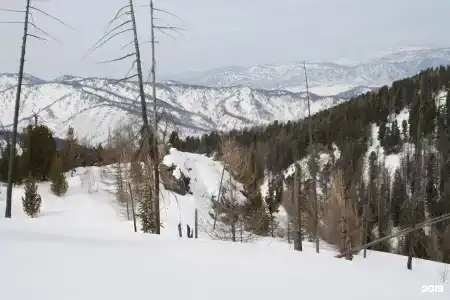 Медвежья гора - 51