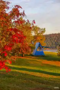 Звездный - 19