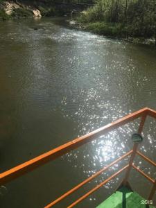 Зеленый Бор - 78