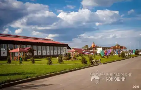Загородный отель Konakoff в Сажино - 50