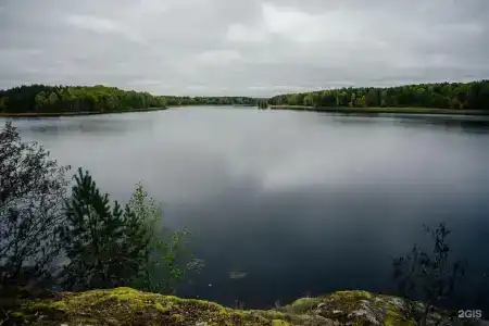 Снегурия - 82
