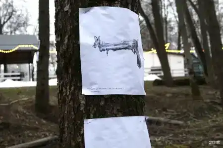 Белые Аллеи - 73