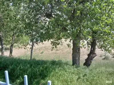 Ахтуба - 29