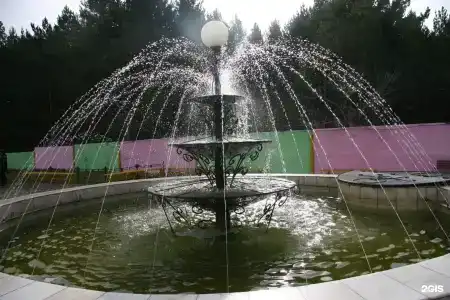 Сосновый бор - 50