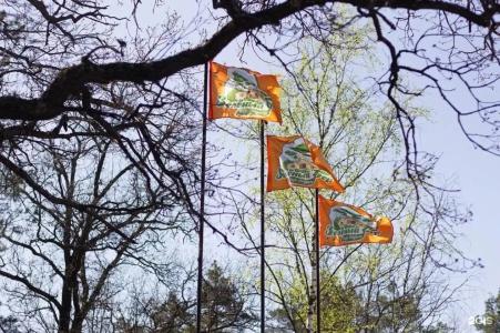 Зеленый Бор - 89