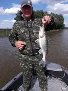 Икра - 50