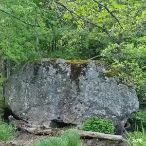 Тихая Гавань - 155