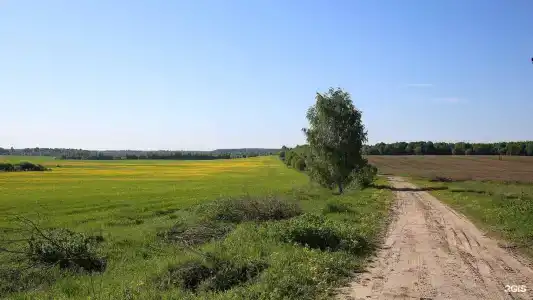 Ларди - 19