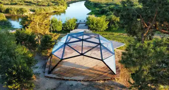 Гнездо - 1