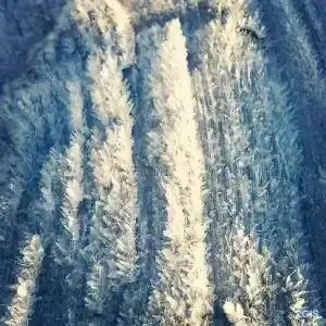 Шерер - 17