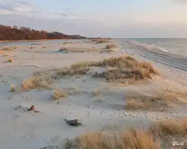 Море рядом - 53