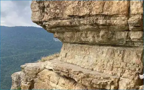 Псыгупс - 100