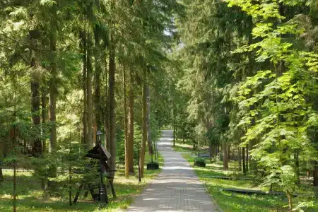 Истра Холидей - 36