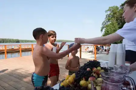 Родники - 83