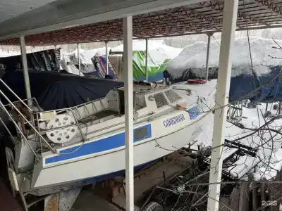 Спартак - 184