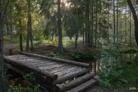 Дубки - 22