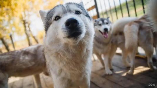 Парк-отель Застава - 11