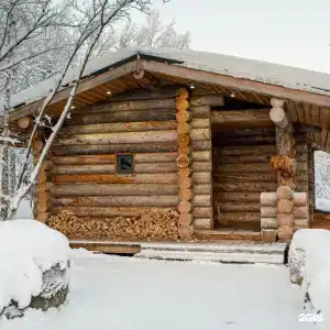 Арктик Хоум - 5