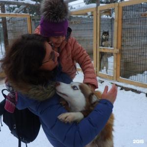 Арктик Хоум - 84