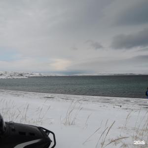 Арктик Хоум - 49