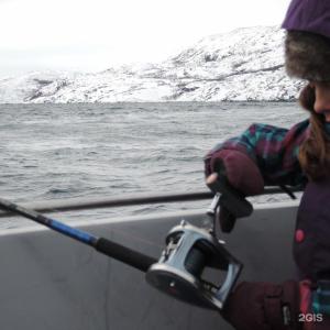 Арктик Хоум - 116