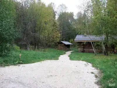 Дубки - 120