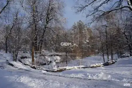 Репино - 79
